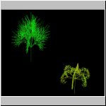 trees.png