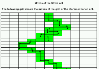 Grid showing the path of the fittest evolved ant